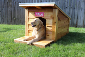 Dog house!